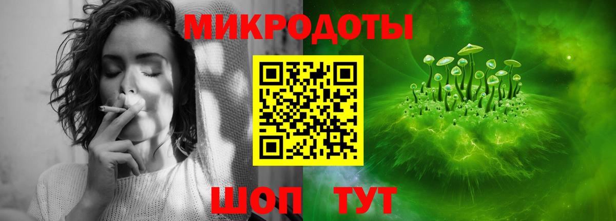 Ростов Великий  Псилоцибиновые грибы Psilocybine cubensis  Вход с VPN 